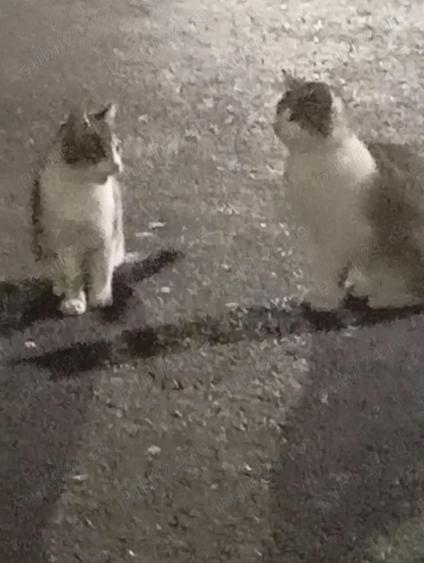 Garsoniera de vanzare - 1