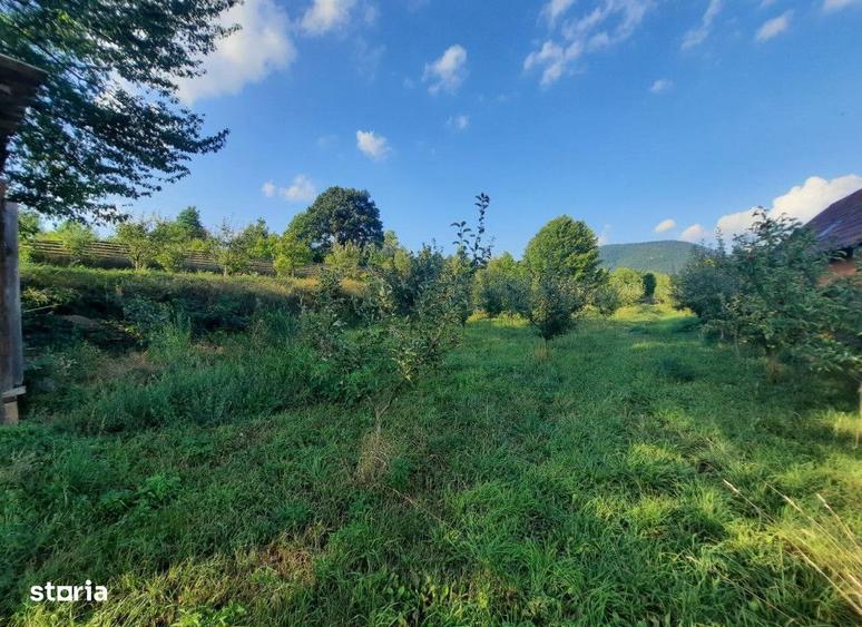 Teren intravilan Viisoara , 1091 metri Cod:148077 - 2