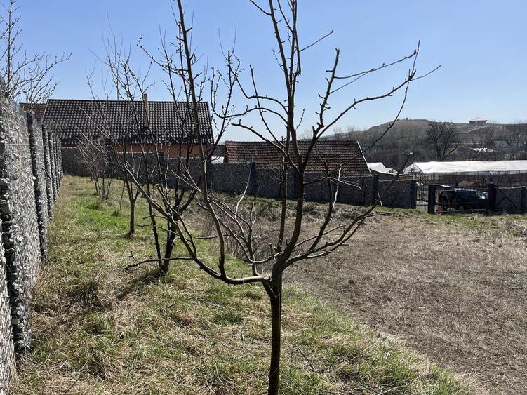 Teren de vanzare Comuna Sandulesti jud CJ - 8