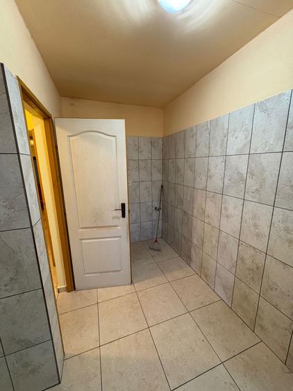 Casa de vanzare, judetul Timis - 7
