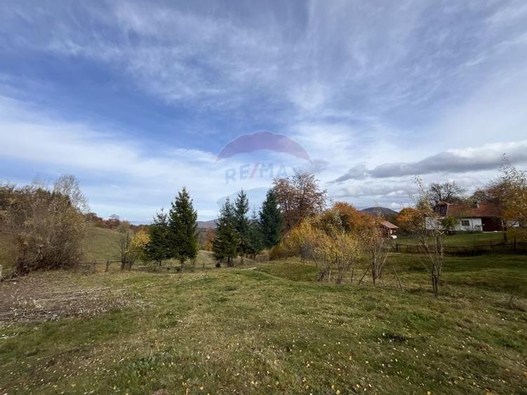 Teren de Vis in Bran - 1000mp Plat, Liniste Absoluta si Aer Curat - 7