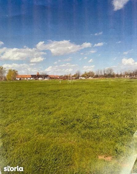 Teren intravilan 9.375 mp in zona Hanul Rosu, dubla deschidere - 1
