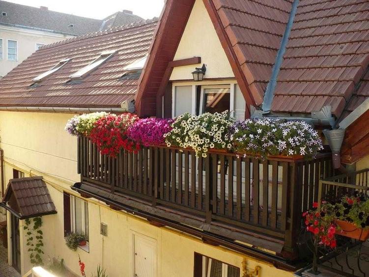 Pensiune de vanzare in Brasov - 7