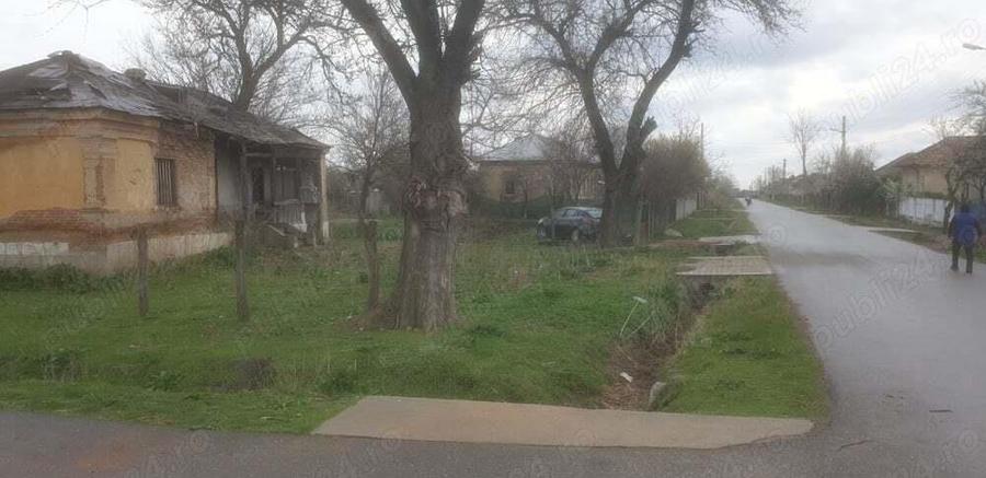 2(doua) teren intravilan in localitatea Giurgi?a, judetul Dolj. - 4