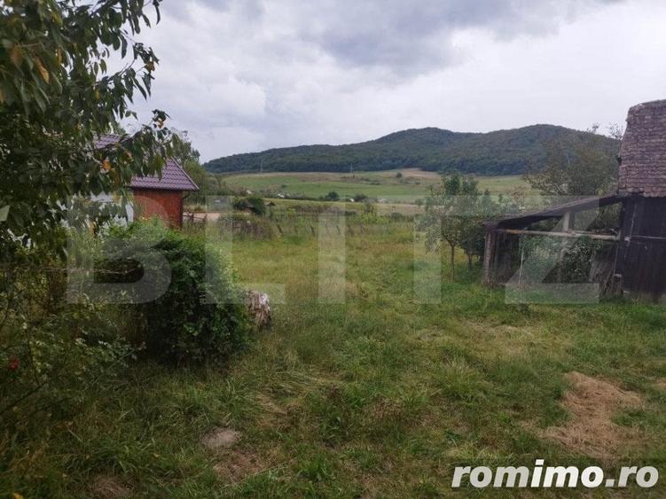 Casa pitoreasca in Viile Tecii cu o gradina de 26 de arii - 4