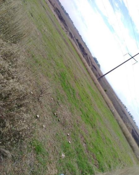 Teren intravilan zona Damila, 800 mp cu deschidere de 40m - 3