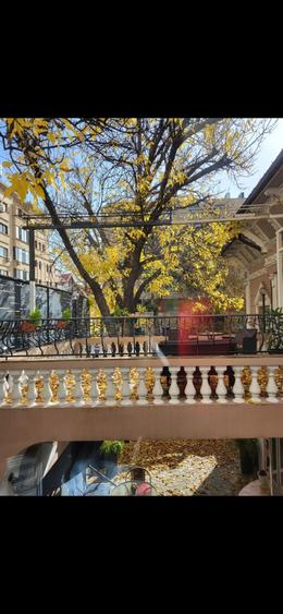 De inchiriat vila Bulevardul Ferdinand - 26