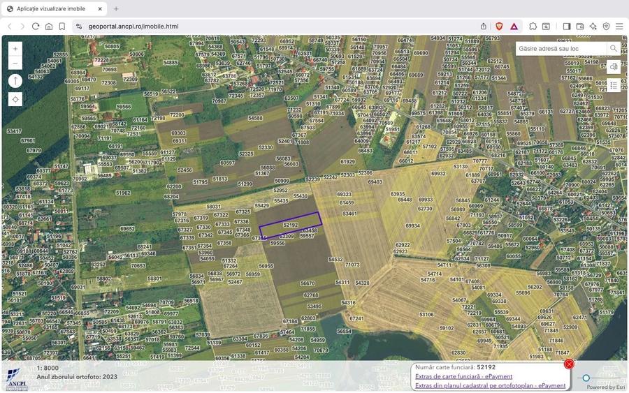 Teren intravilan 18.200 mp Saftica Balotesti - 10