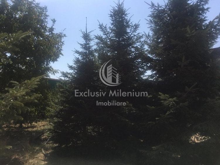 Casa la Padurea Rosu 650 Mp + Teren ideal Activitati Comerciale/Birouri - 5