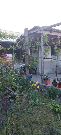 Casa de vanzare in judetul Prahova, comuna Draganesti, sat Baraitaru - 8