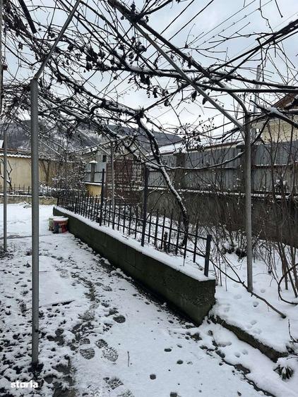 Proprietate cu 2 case in Gura Vaii la doar 10 km de Dr. Tr. Severin - 2