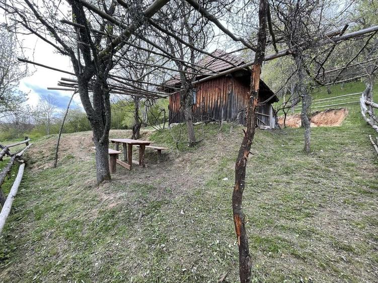 Casa ,livada si padure in com batrana jud hunedoara tinutul padurenilor - 7