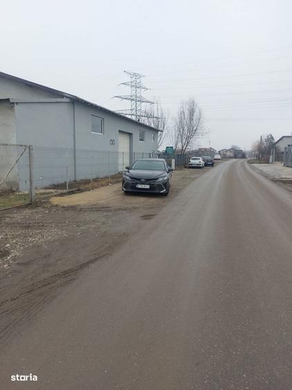 Clinceni - Olteni, Strada Fortului, Stradal - 5