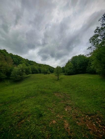 Teren de vanzare Drajna de sus - 2