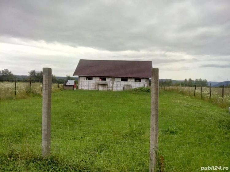 Teren de 2200 mp, în Colibași