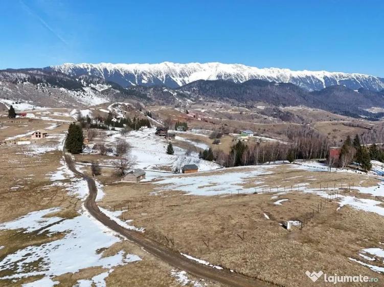 Priveli?te superba catre mun?i | 1924 mp | Apa ?i c... - 10