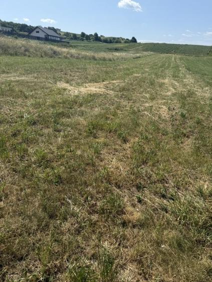 INVESTITIE! Teren intravilan Popesti - 1400mp! - 4