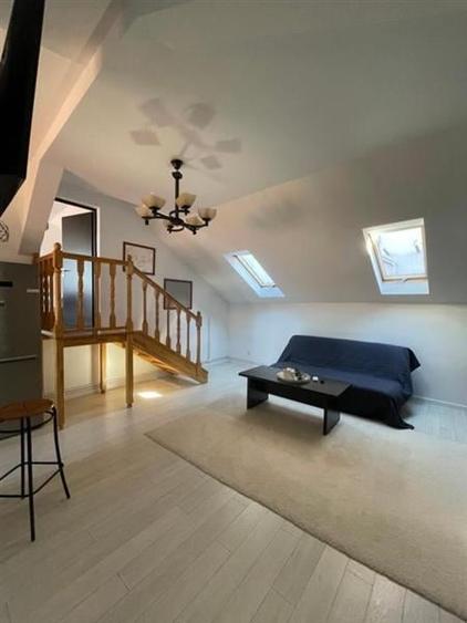 Studio deschis si la regim hotelier, priveliste frumoasa, pet friendly, loc parc - 1