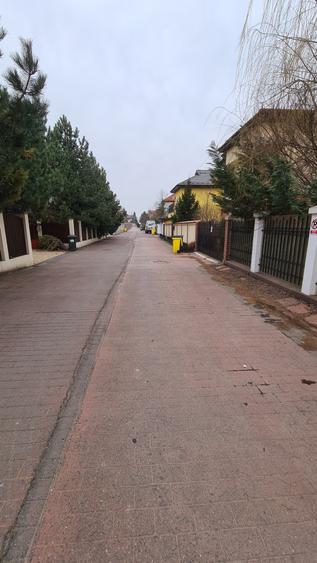 Vila deosebita Iancu Nicolae - British School - 4