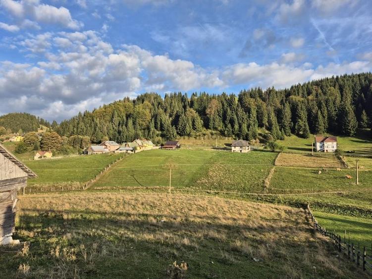 Teren intravilan de v&acirc;nzare Fundata - 1