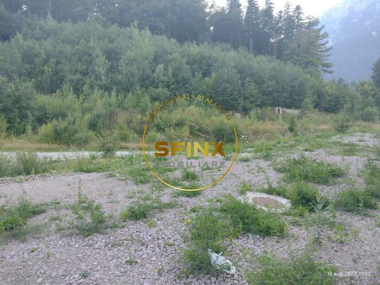 Teren intravilan 15.000 mp Busteni - 3