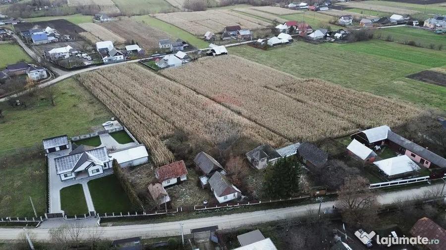 Casa de vanzare in Com Fratautii Noi - 11