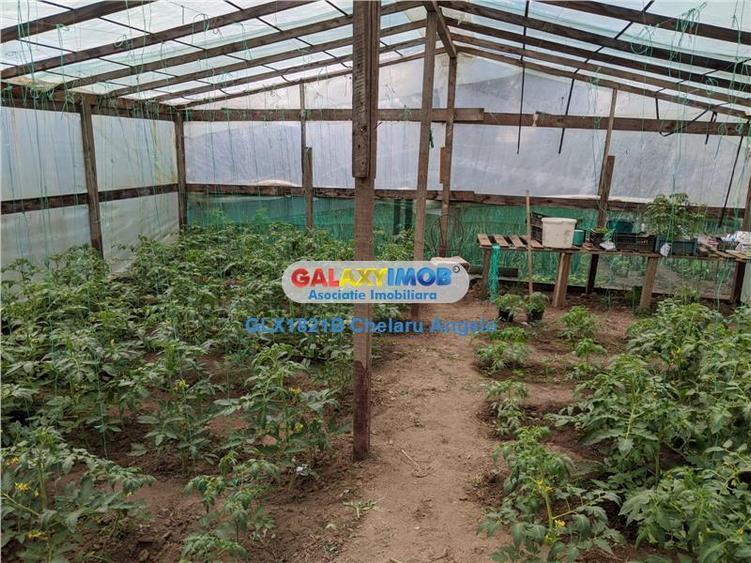 Gradistea, Ilfov, vila 4 camere, teren 2000 mp,dubla deschidere - 25