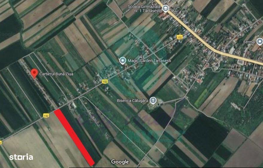 Teren 9923 mp Tartasesti, cu utilitati si acces asfaltat - 1