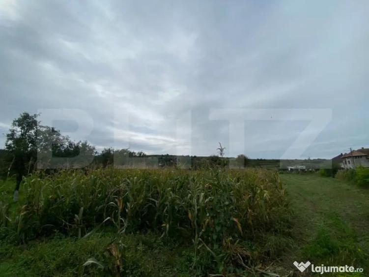 Teren intravilan de vanzare, 2.691 mp Mari?elu, jude? - 1