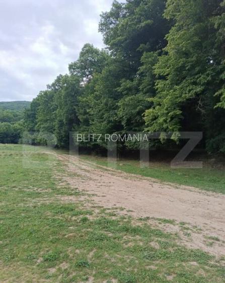Teren pentru cabana /pensiune locatia perfecta pentru relaxa