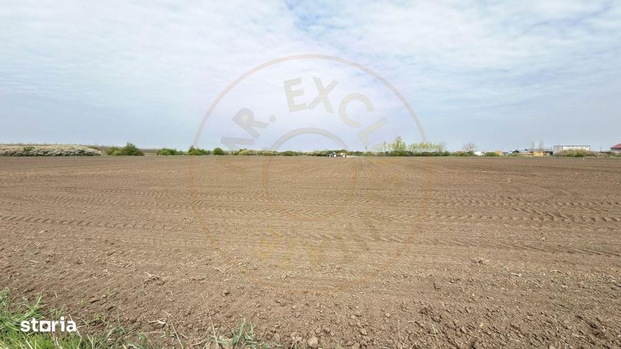 Teren Intravilan 1300 mp / Extravilan 3.700 mp/ DJ 196B Carei (DN 1F) - 6