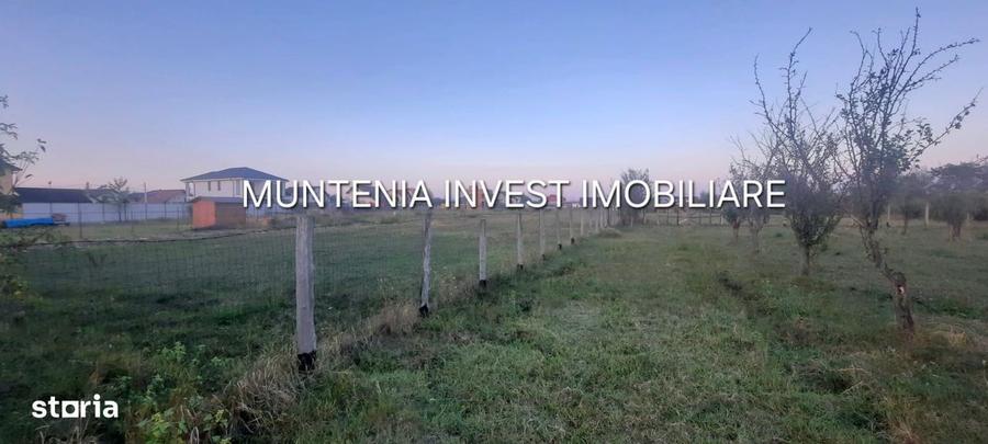 Teren 6000 mp. intravilan Smeura, str. Olteni - 8