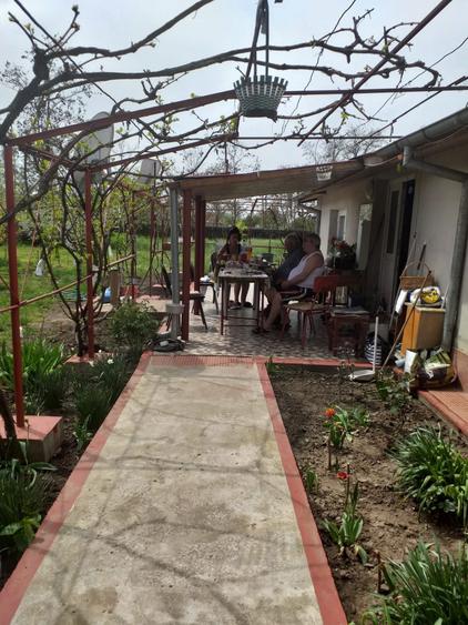 Casa la Curte mare - 2