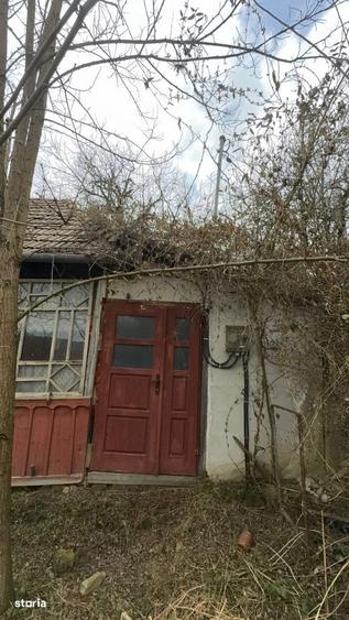 Casa de vanzare in Stupini, comuna Sanmihaiu de Campie teren 35 ari - 13