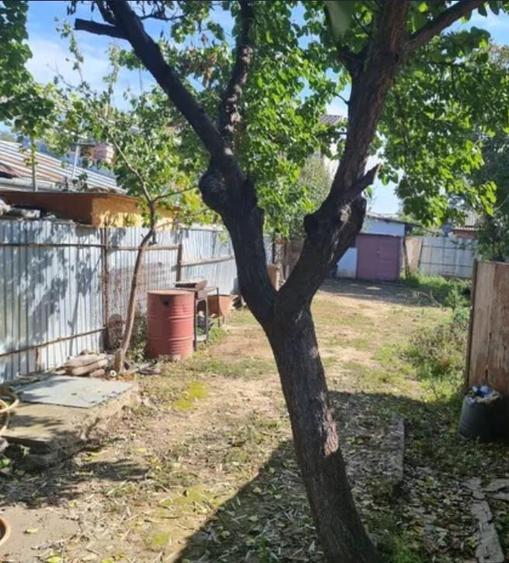 Teren lacu dulce pozitie buna - 1