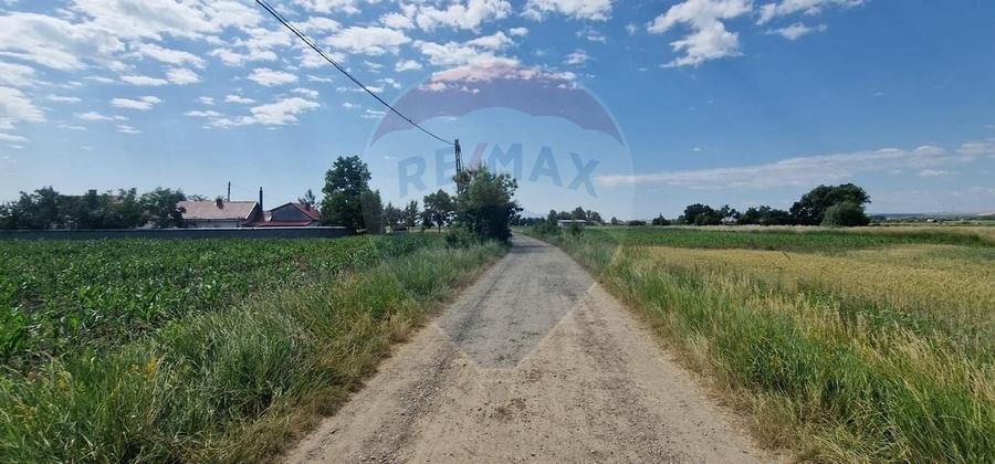 De vanzare teren 10.001 mp sat Oniscani, comuna Filipesti - 1