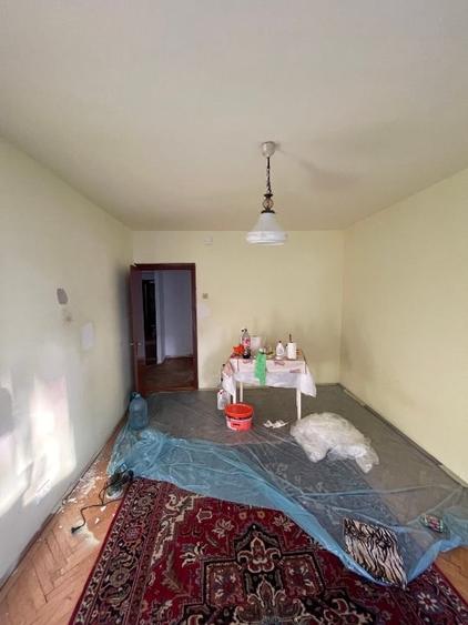 Apartament 3 camere decomandat Bdul Traian - vedere Pietricica - 8