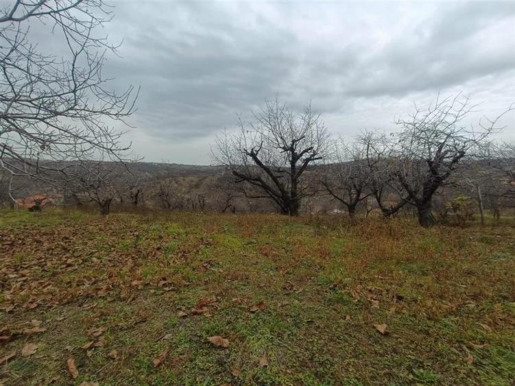 RECO Teren  in Oradea - 1