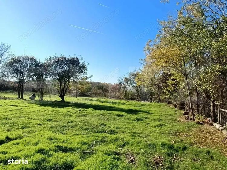 OPORTUNITATE TEREN 0,9 Ha intravilan constructii+extravilan - 6