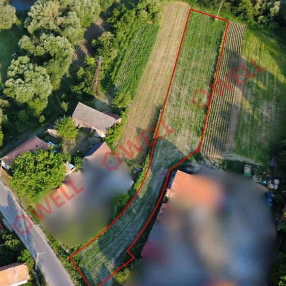 Teren intravilan de vânzare în Ilieni! - 2