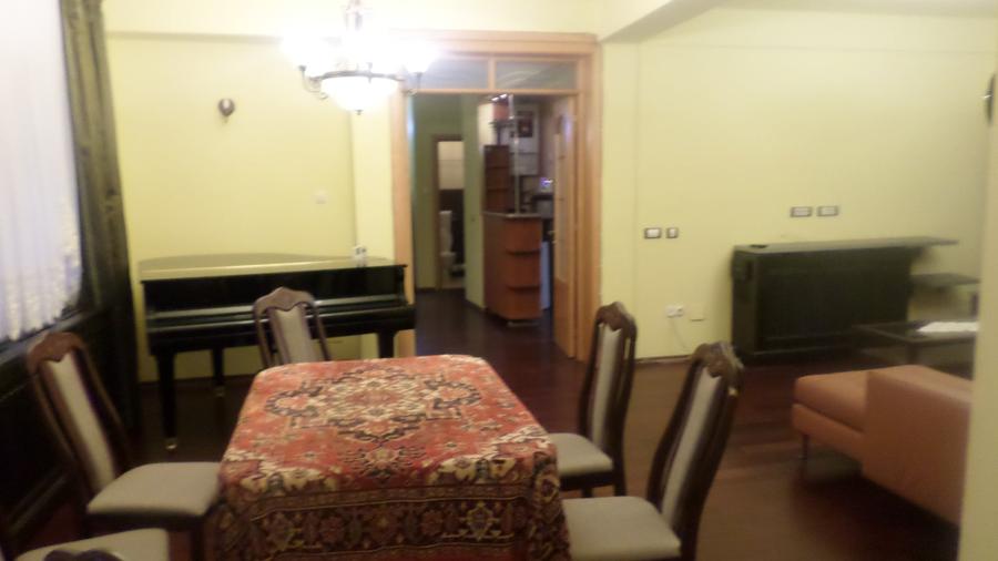 Apartament  spatios in  Vila noua, curte, multa verdeata, ultracentral, - 9