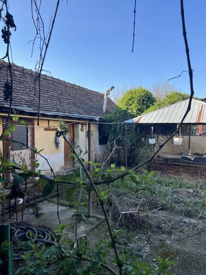 Casa individuala in Sag cu teren 1940mp - pozitie centrala - 5