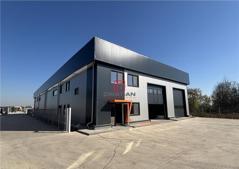 Depozit/hala/spatiu industrial Chitila - Centura - Rudeni - 7