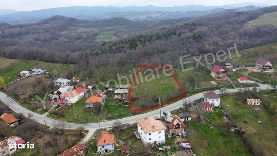 Teren de vanzare in comuna Cepari, judet Arges. - 2