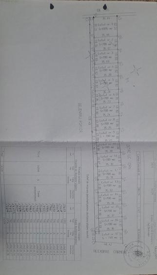 Teren 700m2 intravilan Catamaresti Deal - 1