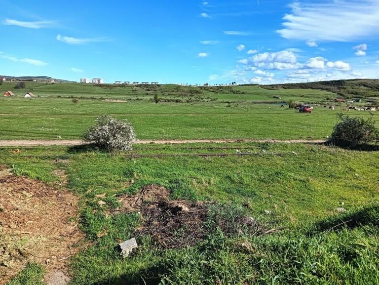 Vand teren intravilan 3000 mp in Sebes, jud Alba - 5