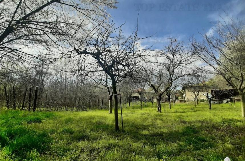 Gradina Sanandrei ultracentral - 1