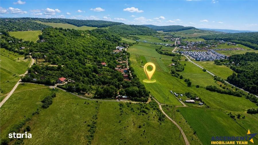 Spațiu comercial, în Budiului
