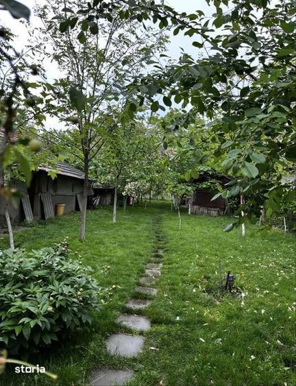 Vand teren cu casa batraneasca comuna Oinacu, Giurgiu - 3