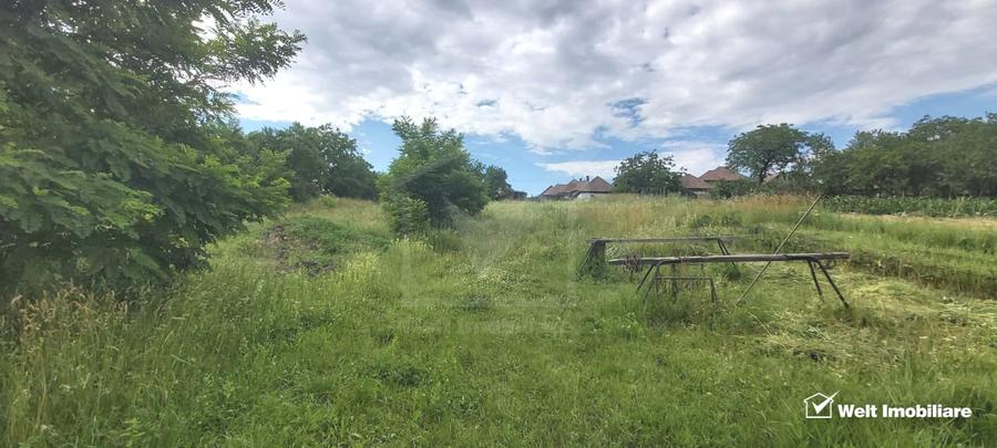 Teren Construcții intravilan de 1633 mp, în Rediu